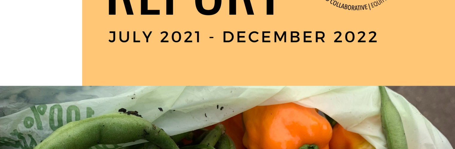 Impact Report 2021-2022