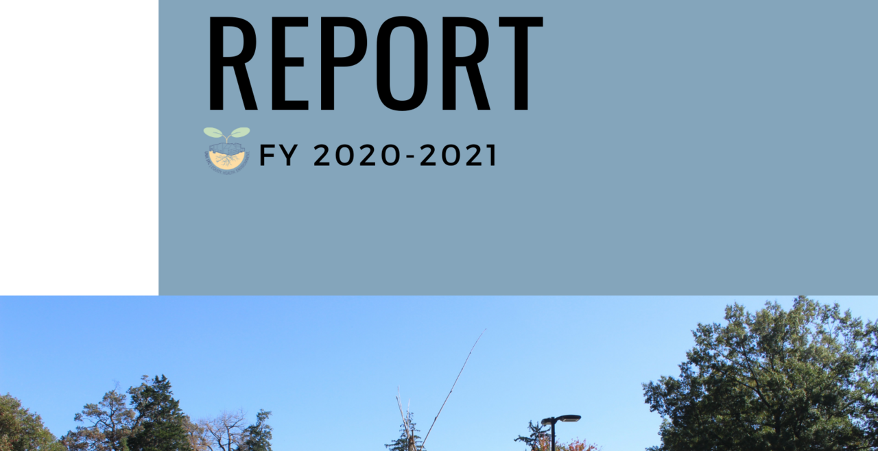 Cover of 2020-2021 Annual Report