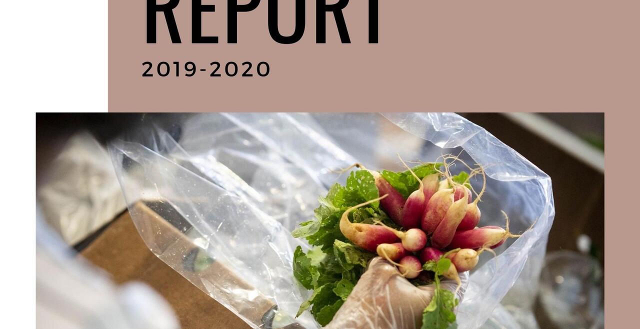 Cover of 2019-2020 Report